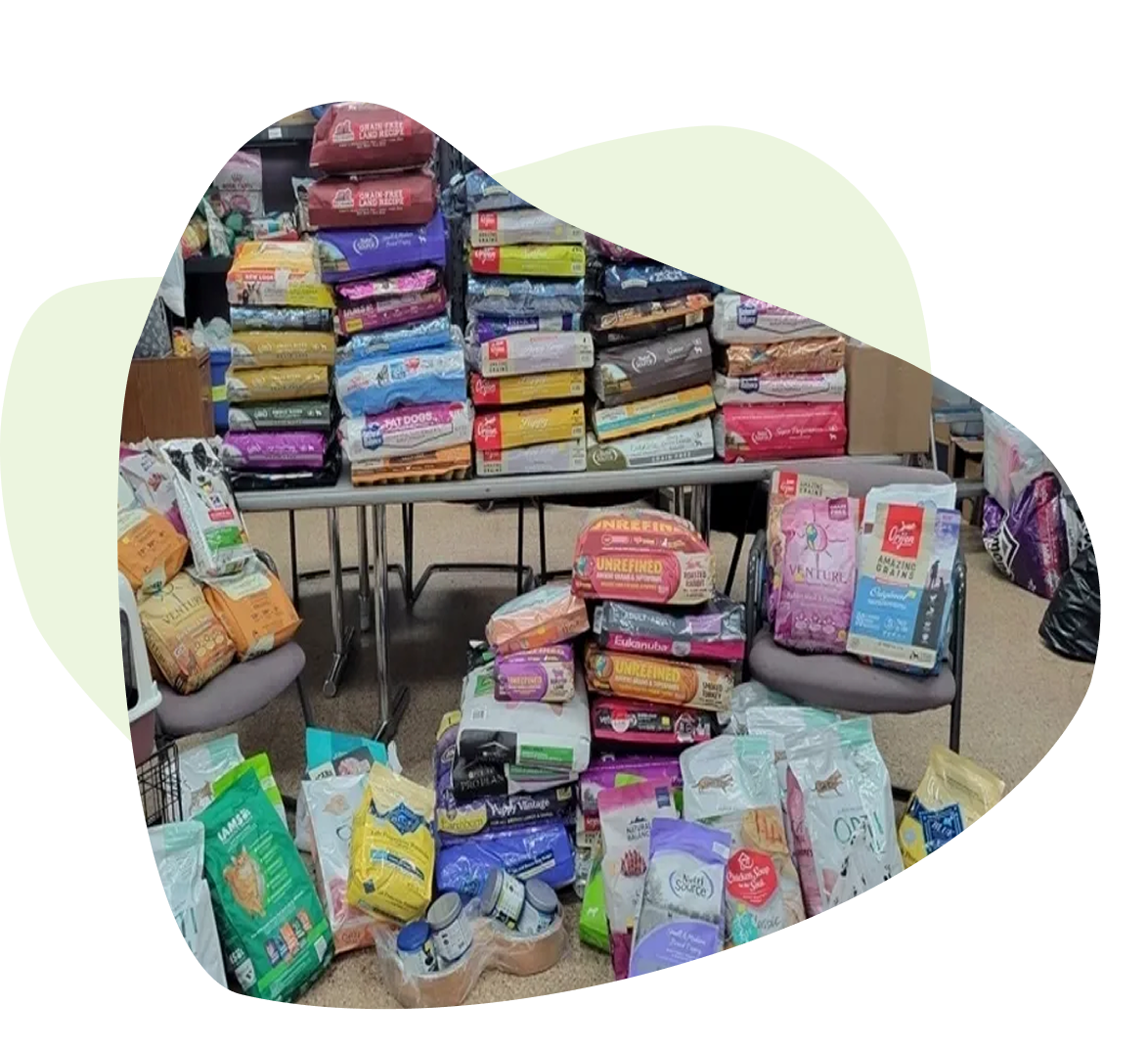 Stacks of various pet food bags are arranged on and around tables in a room. Stacks of various pet food bags are arranged on and around tables in a room.