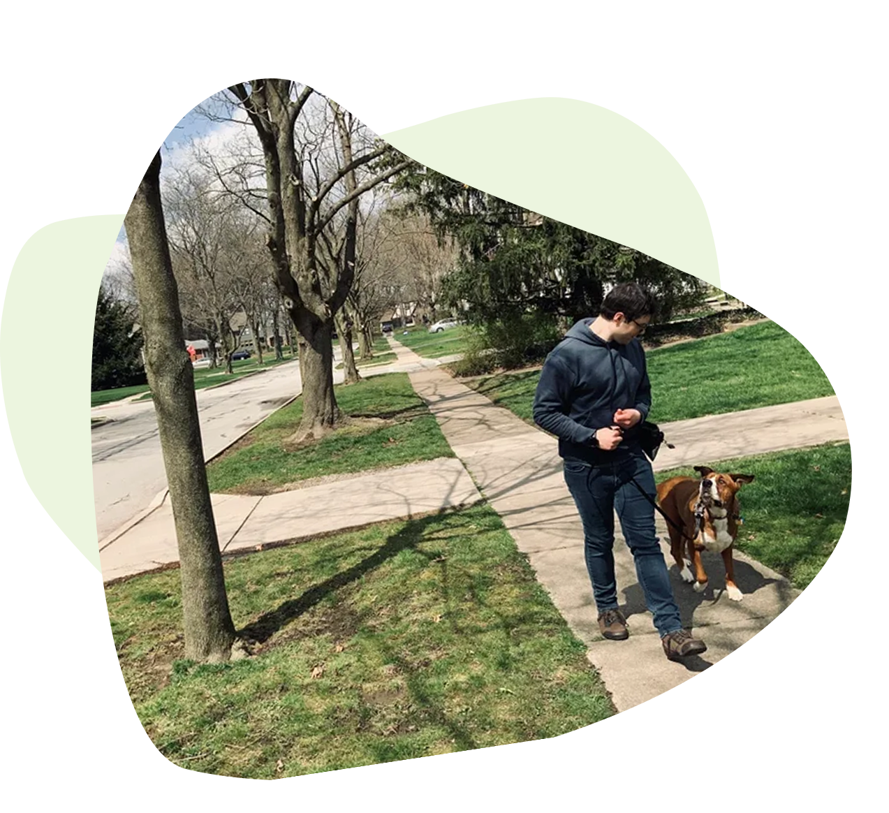 Group 1321317537 A man walking his dog on a leash.