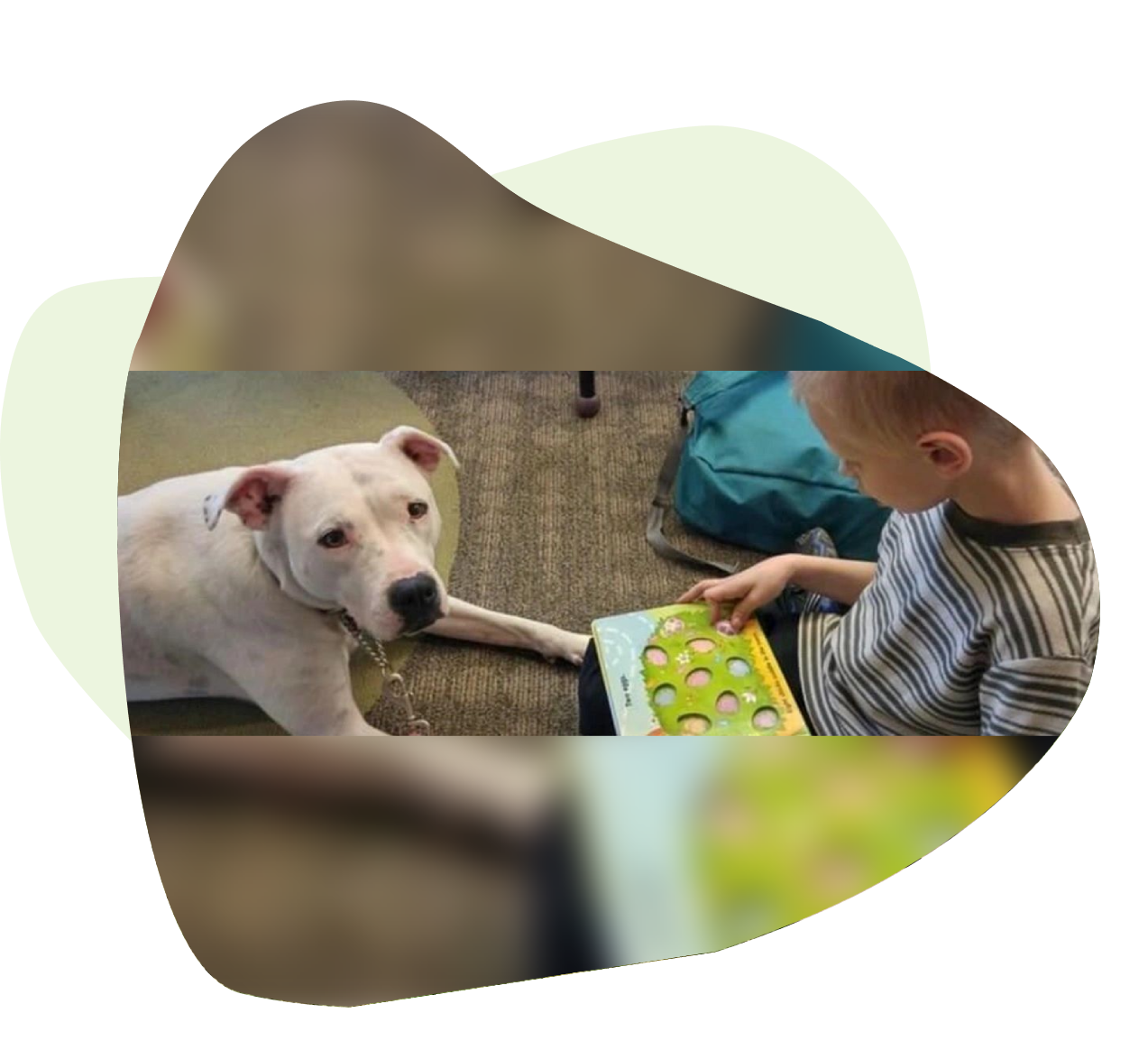 Group 1321317537 A dog and its owner playing with a toy.