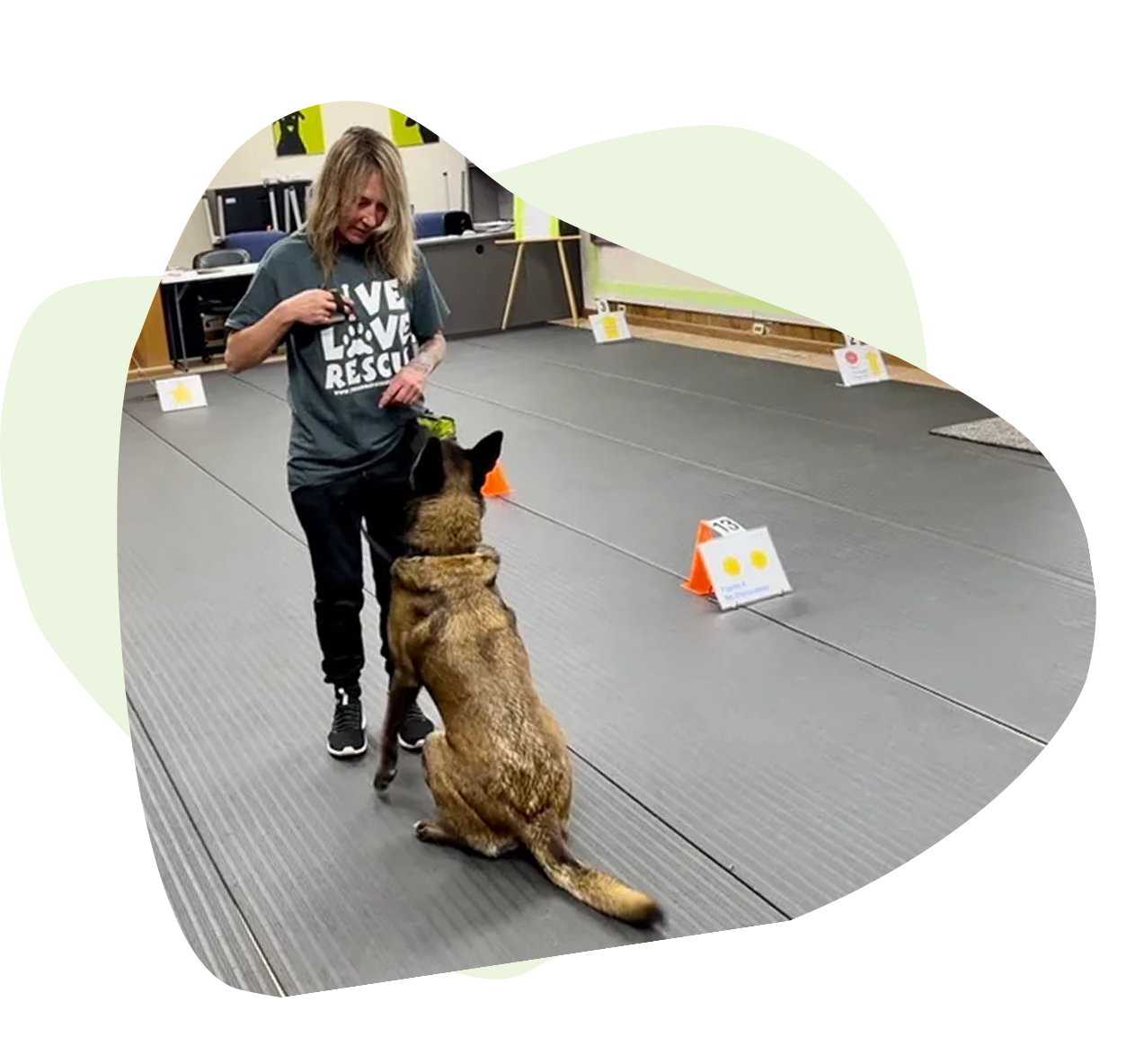 Group 1321317542 A woman and her dog are training on the floor.