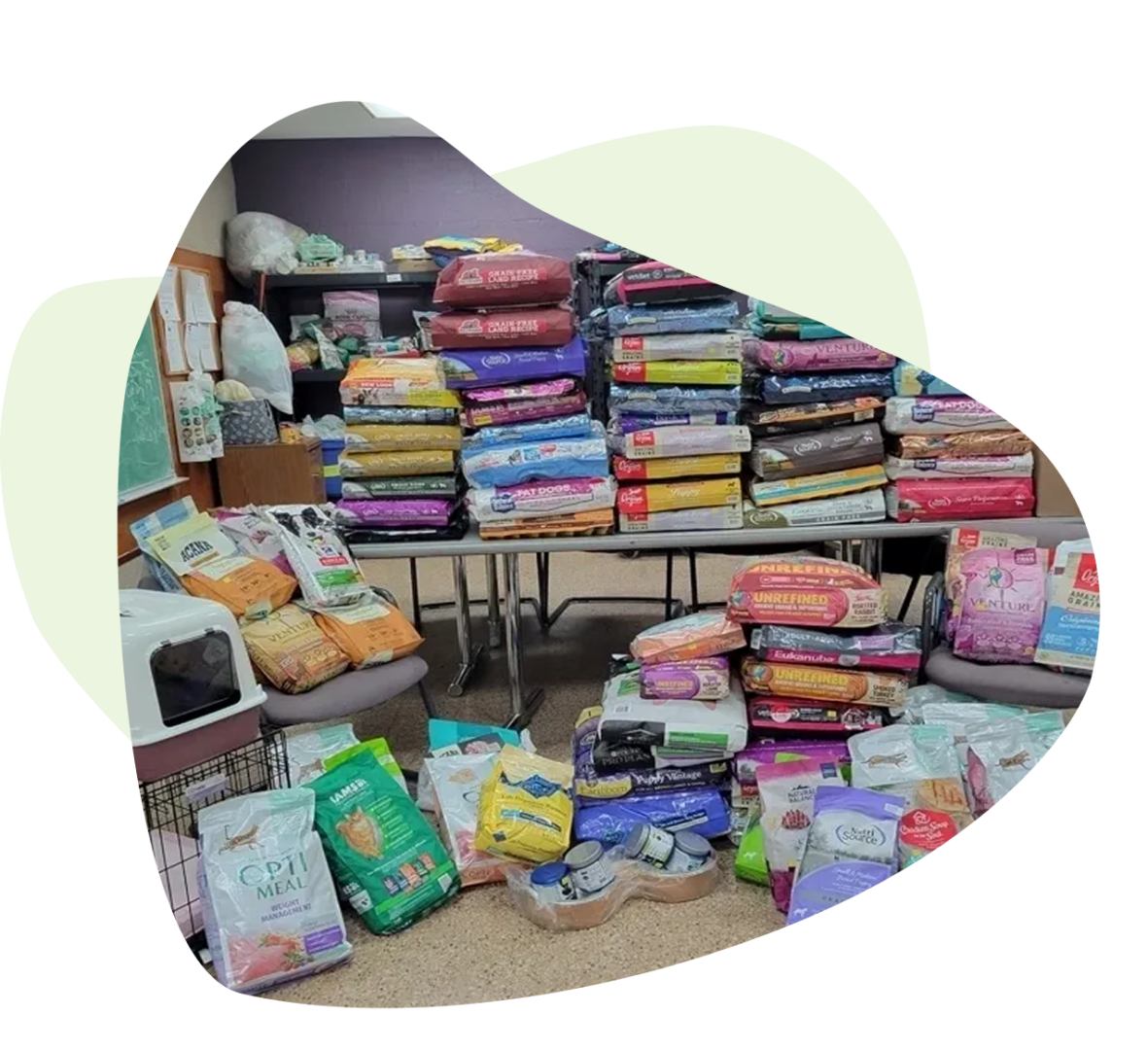 Stacks of pet food bags and canned food are arranged on tables and the floor in a room, alongside a cat carrier and various packages. Stacks of pet food bags and canned food are arranged on tables and the floor in a room, alongside a cat carrier and various packages.