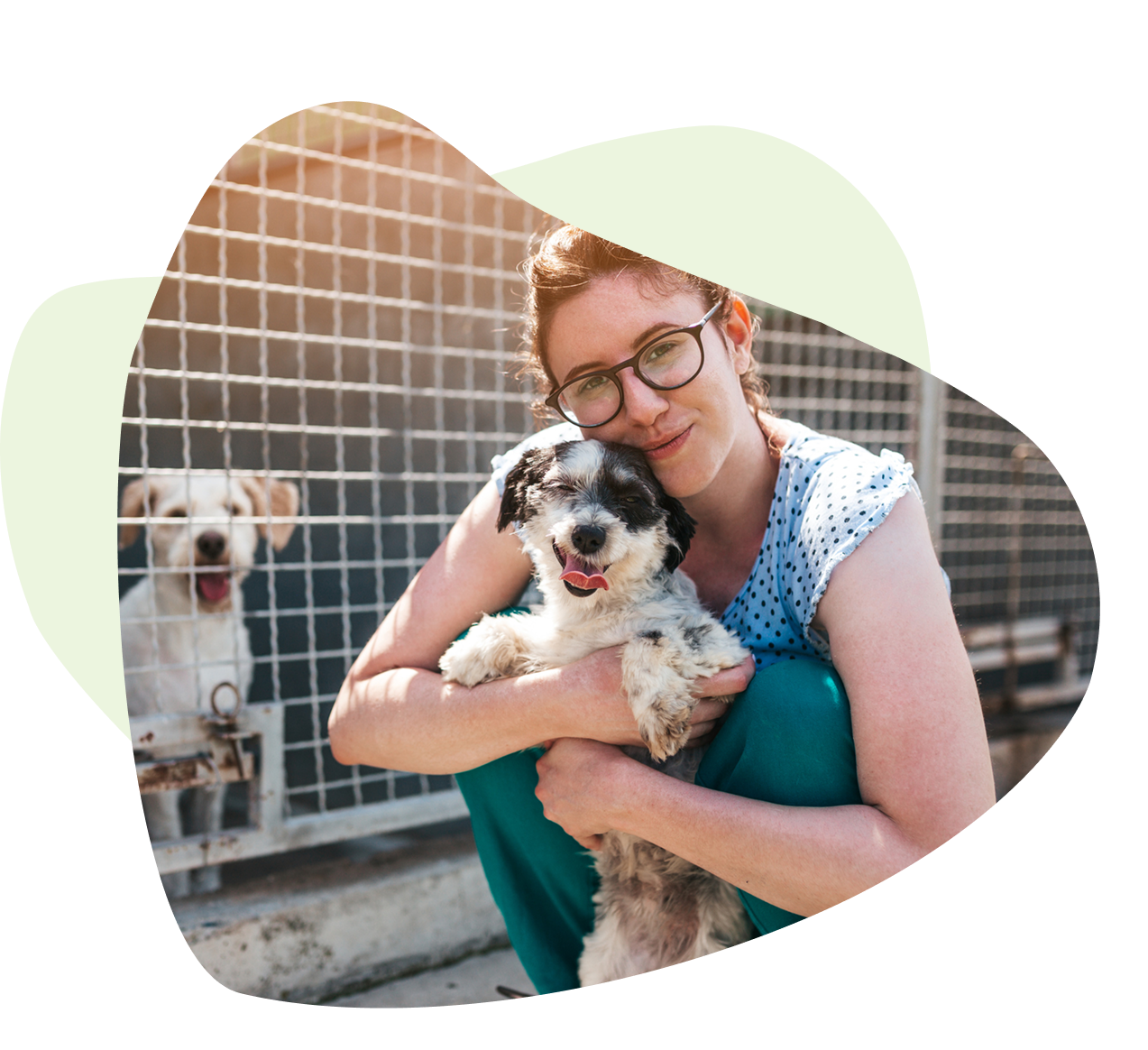 Person in glasses holding a small dog outdoors, with another dog behind a fenced area. Person in glasses holding a small dog outdoors, with another dog behind a fenced area.