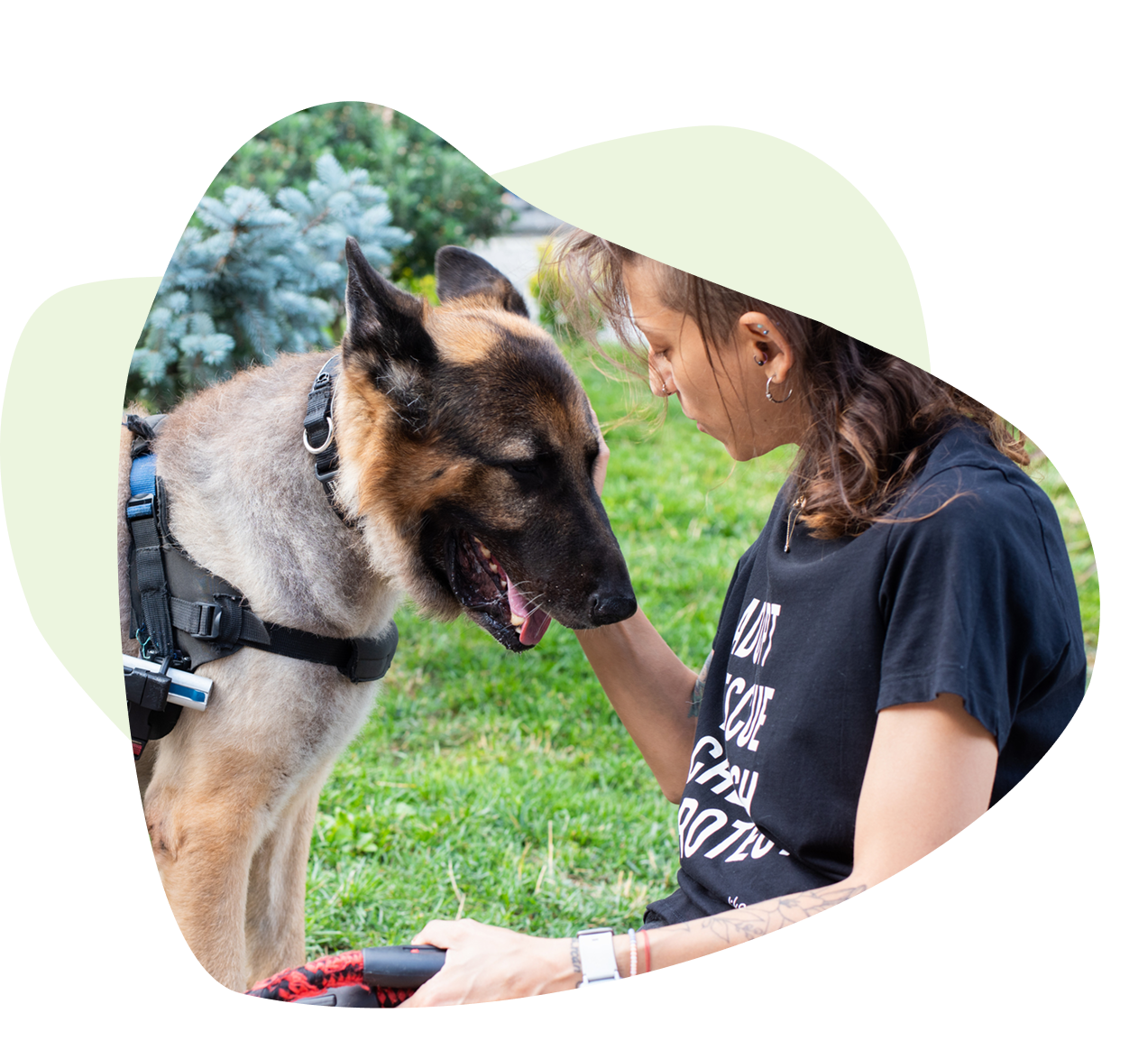 Person sitting on grass, facing a German Shepherd wearing a harness. Both appear engaged, with greenery in the background. Person sitting on grass, facing a German Shepherd wearing a harness. Both appear engaged, with greenery in the background.