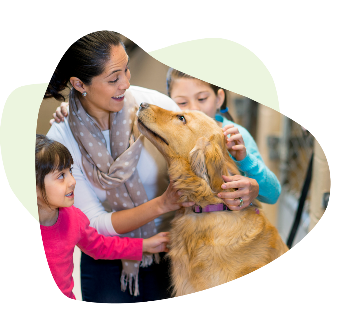 A woman and two children pet a Golden Retriever indoors. A woman and two children pet a Golden Retriever indoors.
