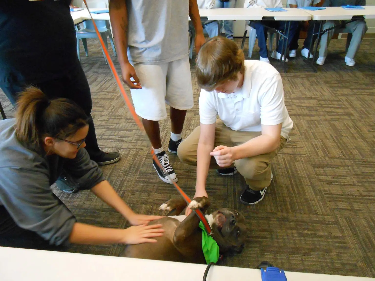 A group of people standing around a dog.