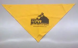 A yellow bandana with the image of a horse and the words " pet bull ranch."