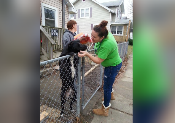 image (4) A woman petting a dog in front of a fence.