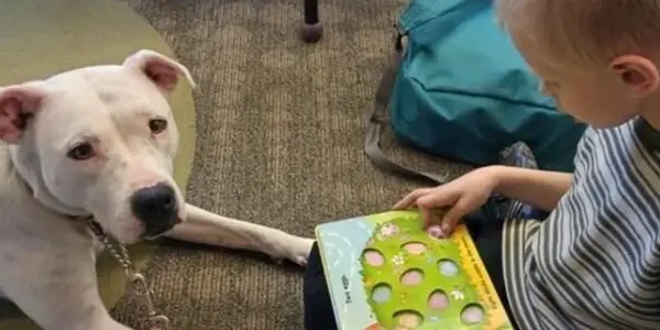 A child in a striped shirt reads a book to a white dog lying nearby on a carpeted floor.