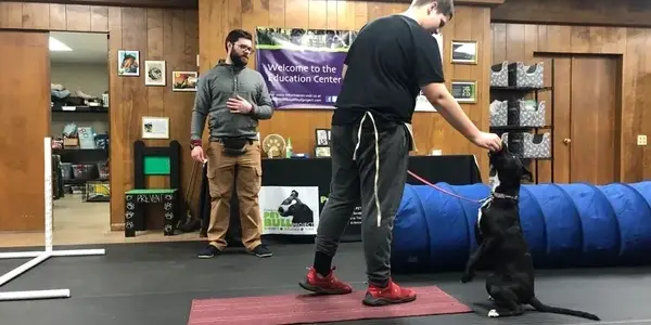 A person is training a dog to sit in an indoor facility. Another person observes. The room has a banner reading "Welcome to the Education Center" and various dog training equipment.