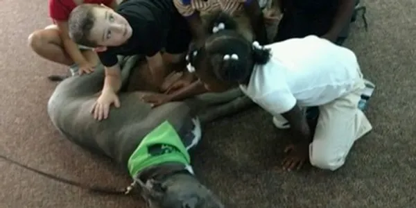Children pet a large, lying dog wearing a green bandana indoors.