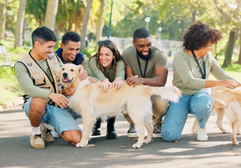 A group of people kneeling and smiling while petting two golden retrievers in a park setting.